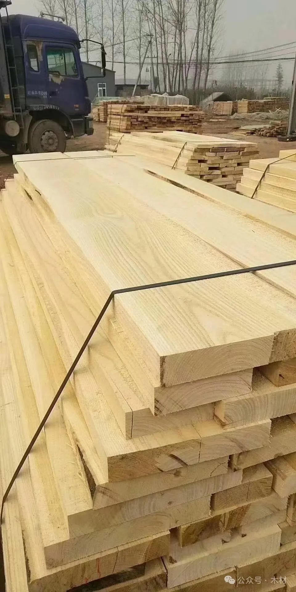 白椿木(國(guó)產(chǎn)白蠟?zāi)?屬于什么檔次的木材批發(fā) 圖片