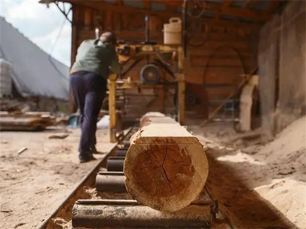探索木材加工的奧秘，從原木到木制品的神奇之旅!